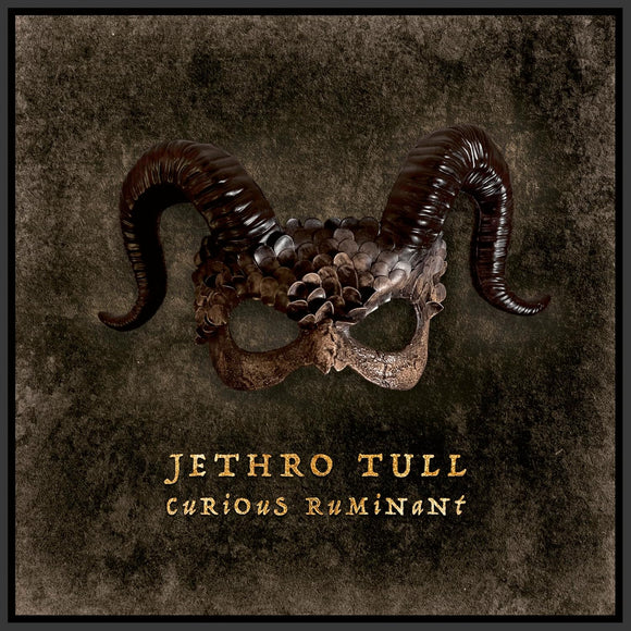 Jethro Tull - Curious Ruminant (IOM738) LP