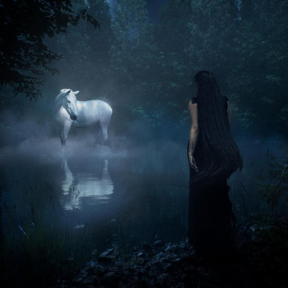 Noah Cyrus 2025 album featuring Bill Callahan and Blake Shelton