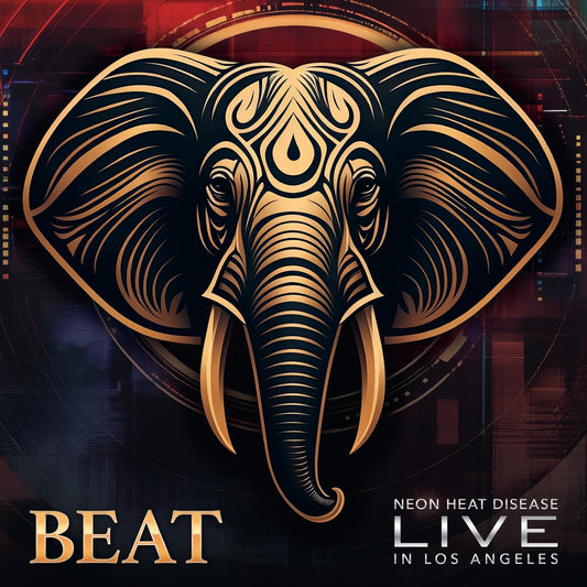 BEAT King Crimson reimagined by Belew Levin Vai Carey