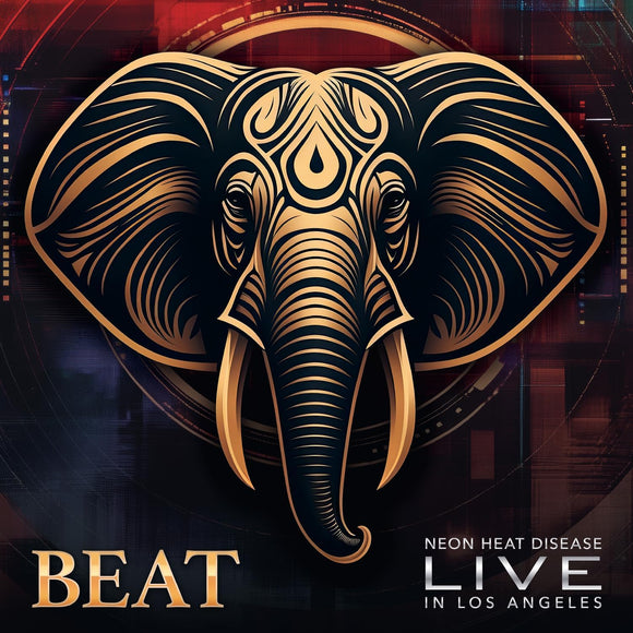 BEAT King Crimson reimagined by Belew Levin Vai Carey