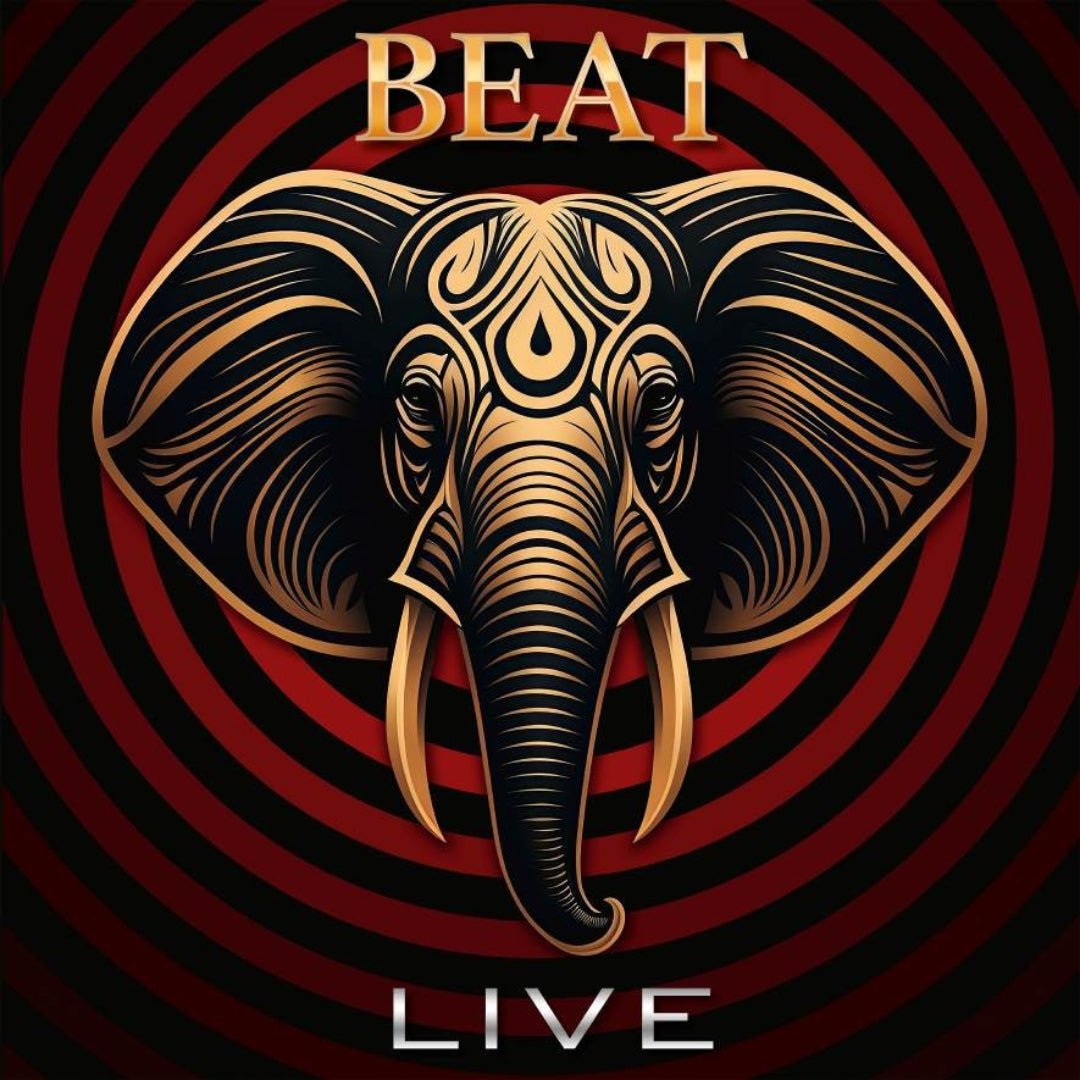 Adrian Belew and Steve Vai live with BEAT