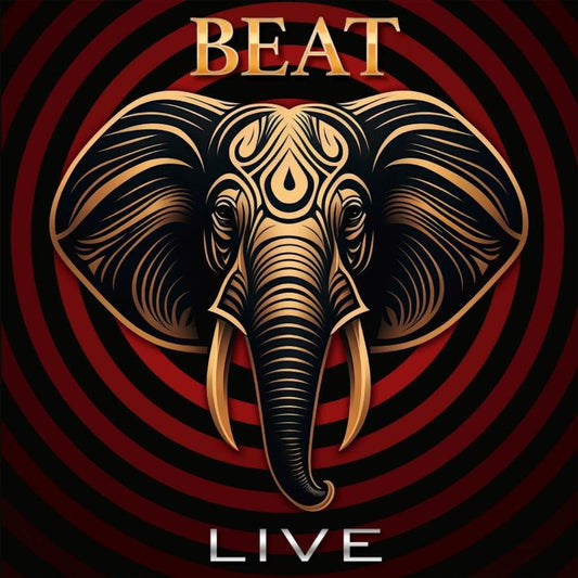 Adrian Belew and Steve Vai live with BEAT