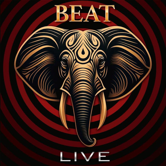 Adrian Belew and Steve Vai live with BEAT