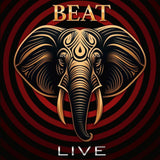 Adrian Belew and Steve Vai live with BEAT