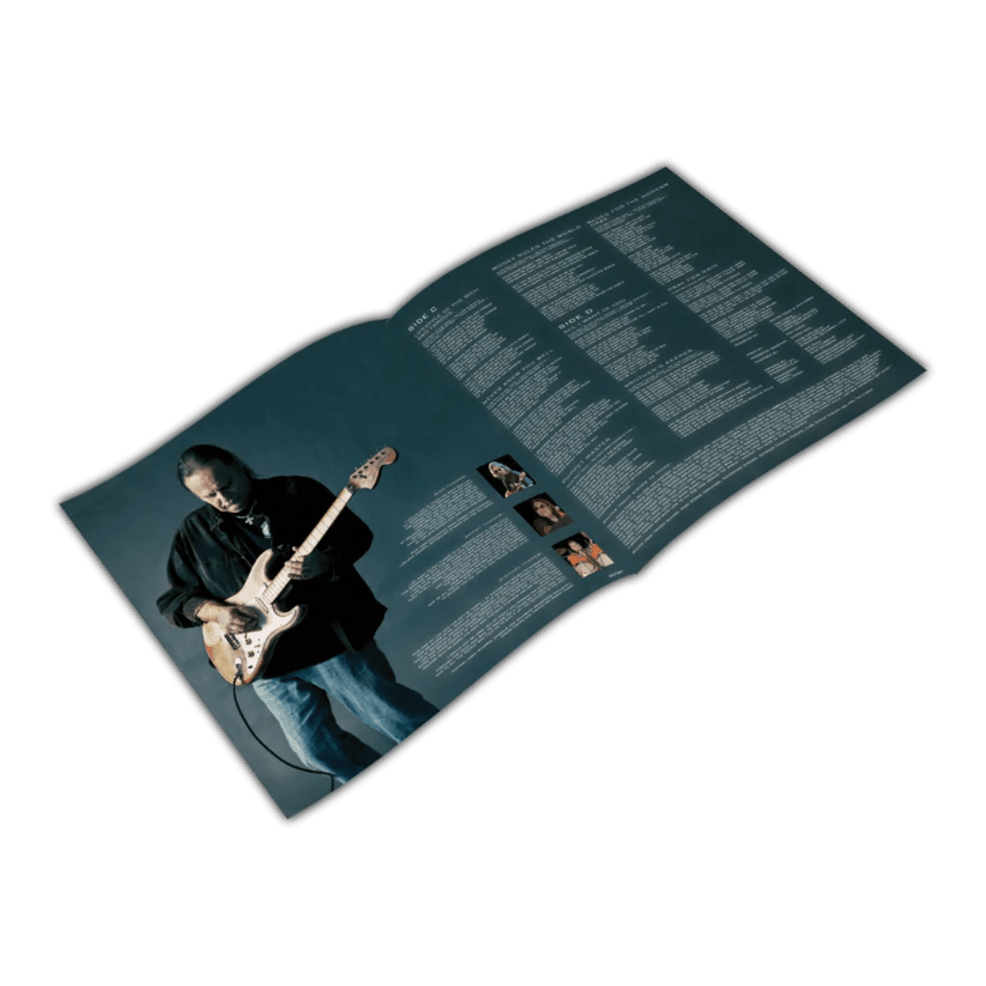 Blues for the Modern Daze by Walter Trout reissued on coloured vinyl