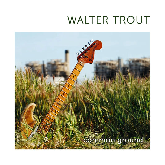Walter Trout – Common Ground 15th Anniversary green vinyl cover