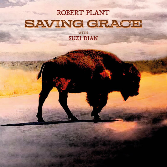Saving Grace LP with Robert Plant and new ensemble