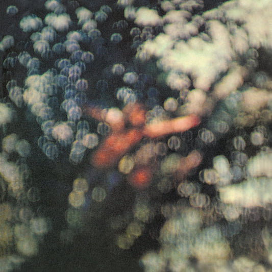 Pink Floyd’s 1972 album, soundtrack to Barbet Schroeder’s French film La Vallée.