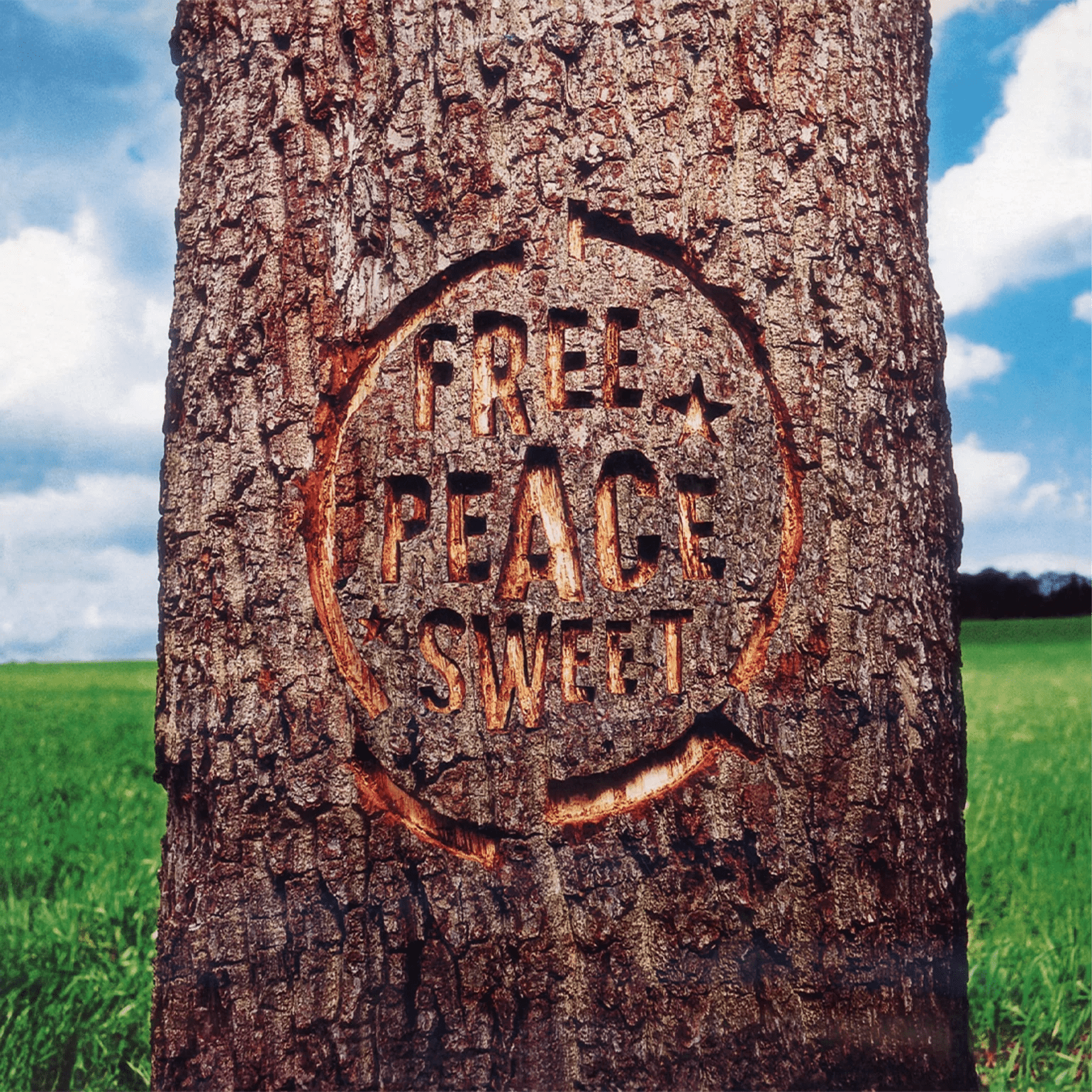 Dodgy Free Peace Sweet 1996 album cover with sun-drenched Britpop artwork and band logo