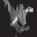 Oceansize Self Preserved While The Bodies Float Up 15th anniversary 3LP vinyl set
