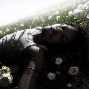 Cover of d4vd’s debut album WITHERED, exploring intimate and emotional music.