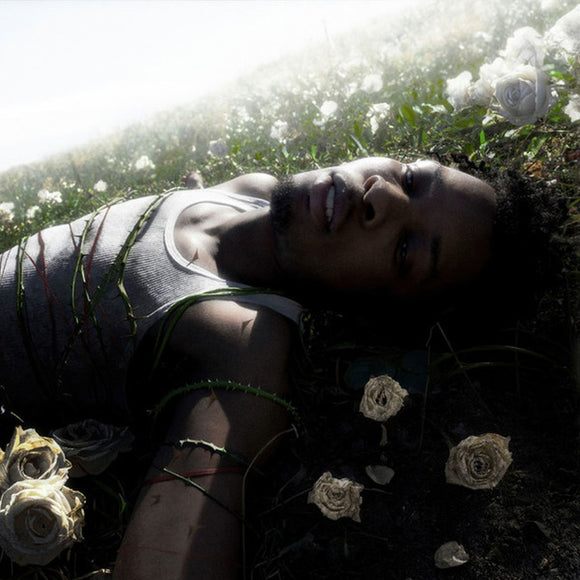 Cover of d4vd’s debut album WITHERED, exploring intimate and emotional music.