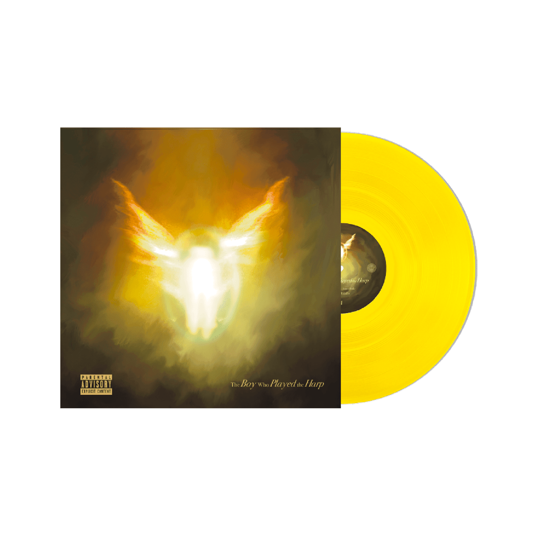 Vinyl LP of Dave The Boy Who Played the Harp new UK rap release