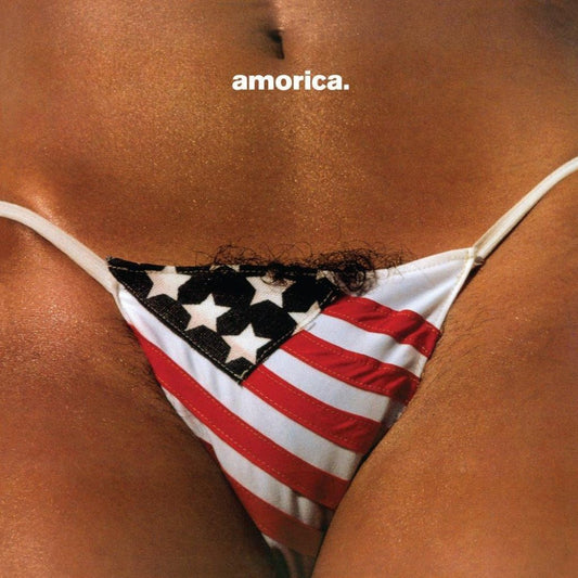 The Black Crowes Amorica CD remastered edition album cover Southern rock