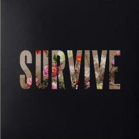 Lewis Capaldi Survive EP cover artwork
