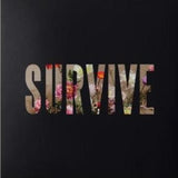 Lewis Capaldi Survive EP cover artwork