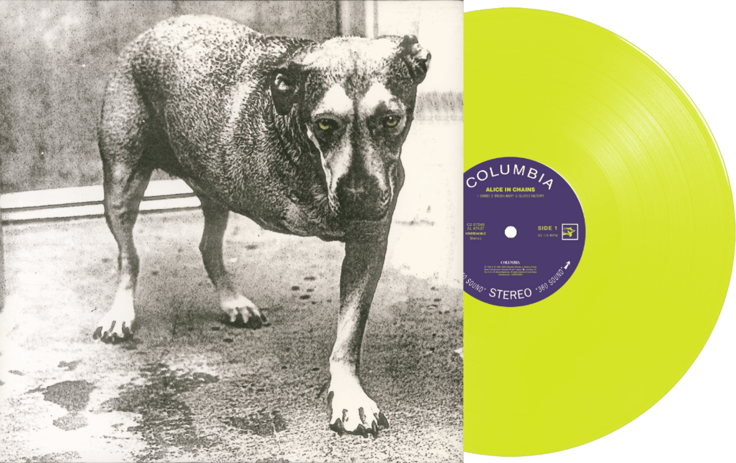 Alice In Chains blends heavy riffs, haunting melodies, and dark introspective rock.