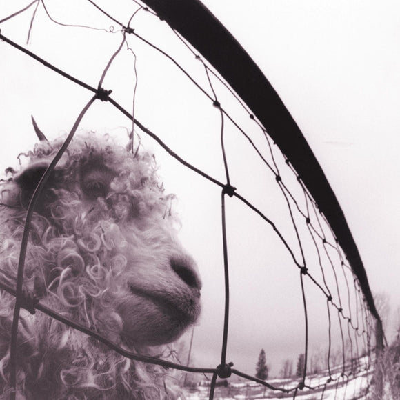 Pearl Jam Vs LP reissue featuring raw 1993 rock sound and iconic album art