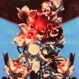 Inhaler Open Wide album cover featuring bold modern artwork