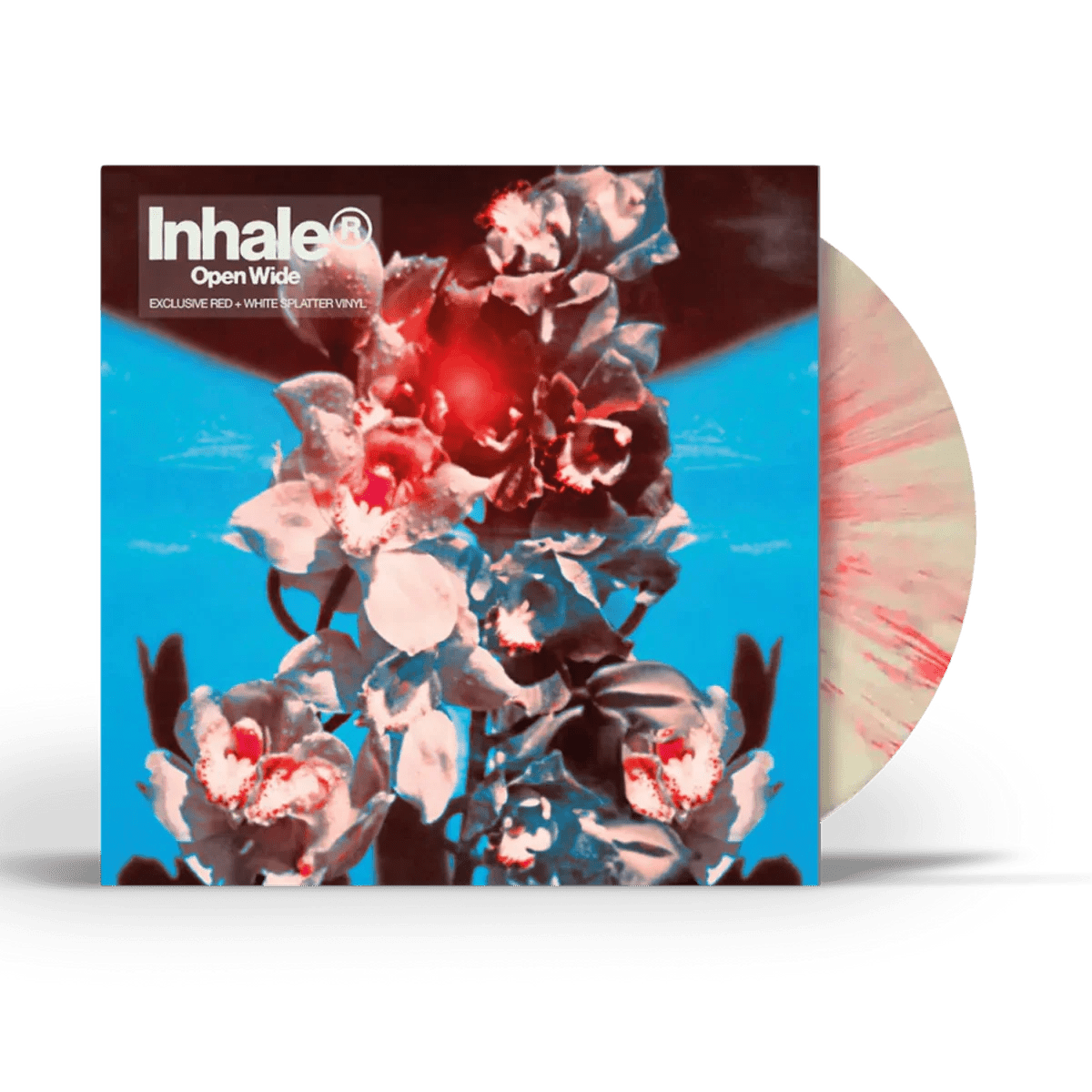 Open Wide by Inhaler album artwork for their guitar-driven pop release
