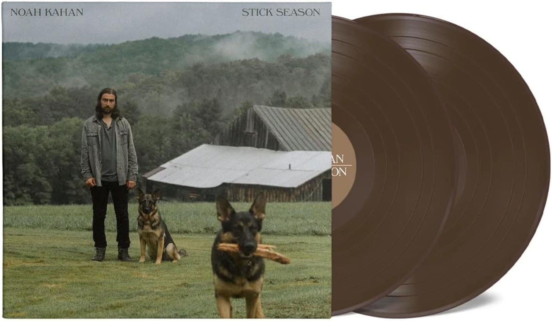 Stick Season album artwork featuring earthy colours and a simple, reflective design.