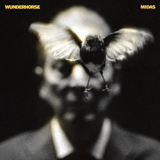 Wunderhorse Midas vinyl LP indie rock album