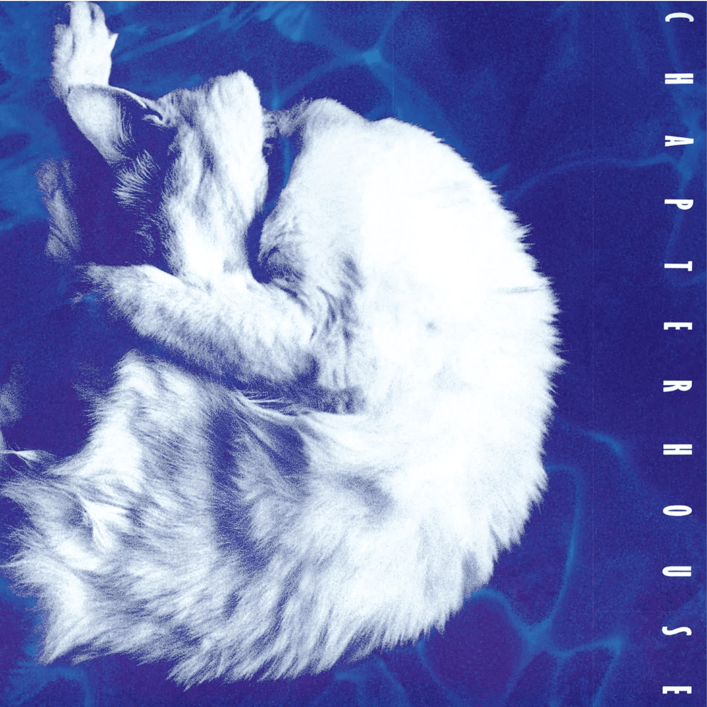 Chapterhouse Whirlpool debut shoegaze album white & black marbled vinyl