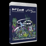 Night Blooms album by Jeff Goldblum and friends