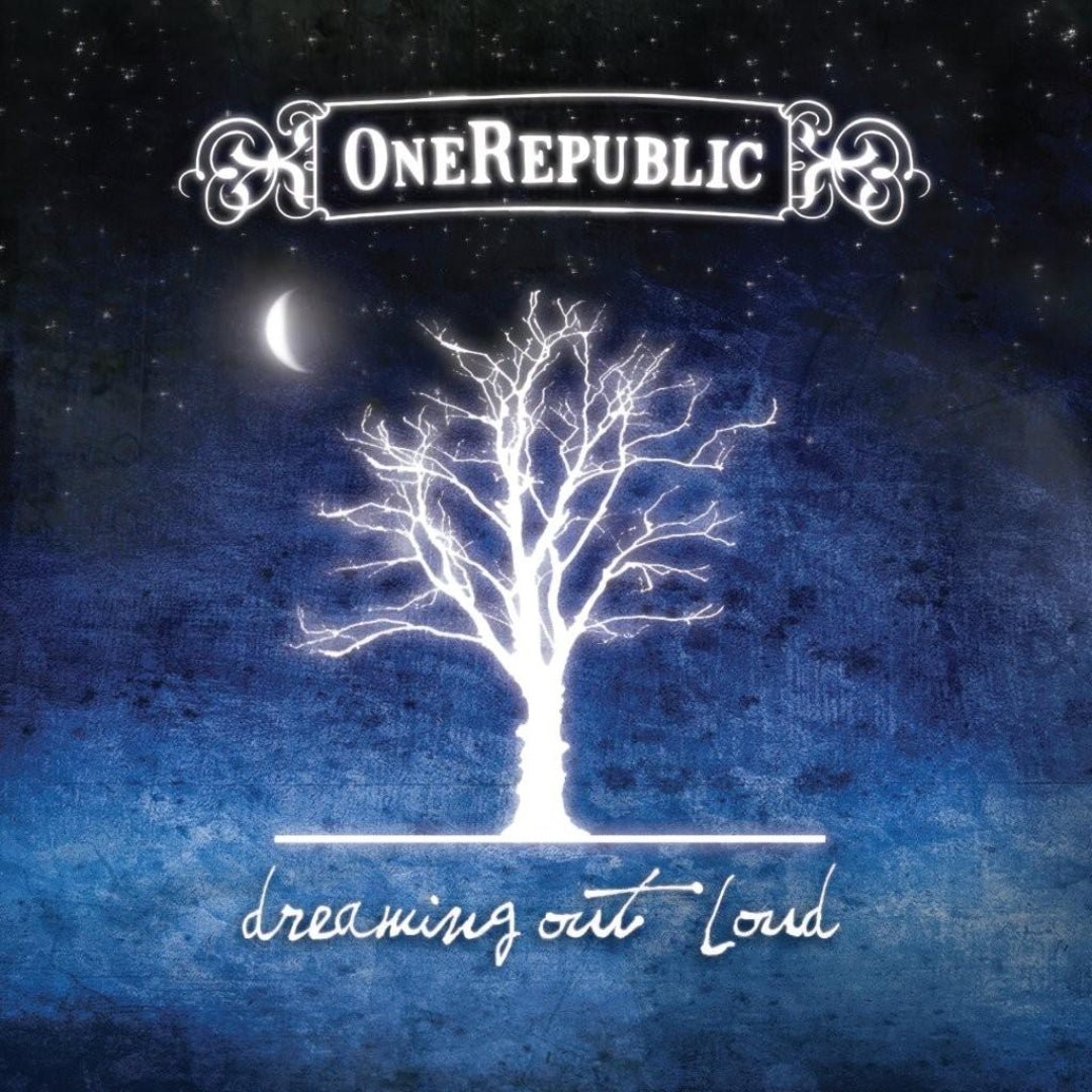 OneRepublic Dreaming Out Loud 2 LP black vinyl debut pop rock album