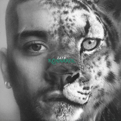 ZAYN KONNAKOL album cover artwork official studio album sleeve image