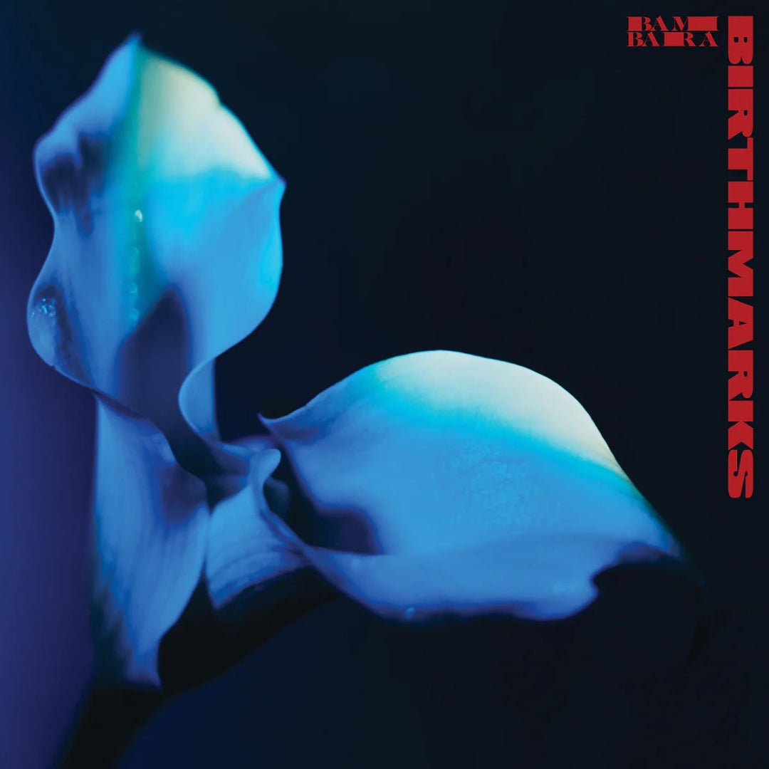 Bambara Birthmarks album cover artwork post punk band sleeve image display