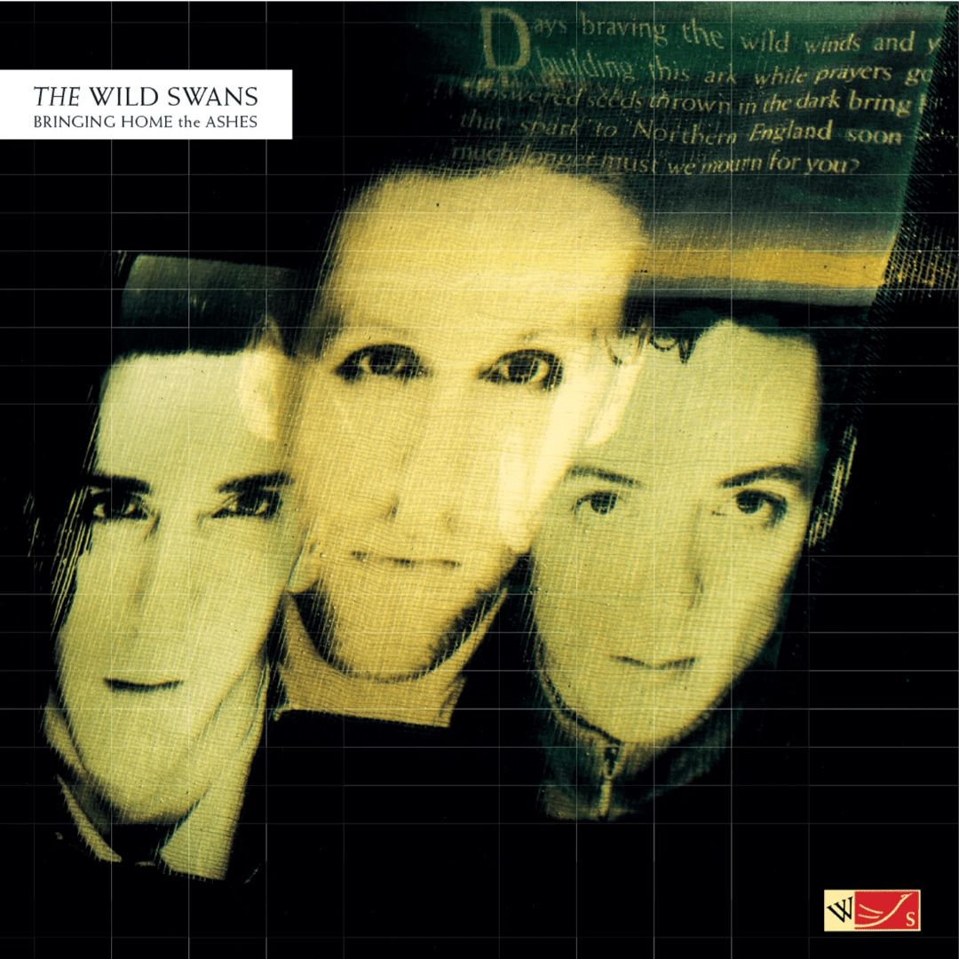The Wild Swans Bringing Home The Ashes LP crystal clear vinyl album cover artwork
