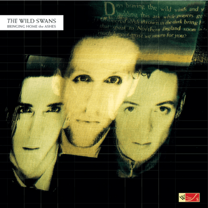 The Wild Swans Bringing Home The Ashes LP crystal clear vinyl album cover artwork