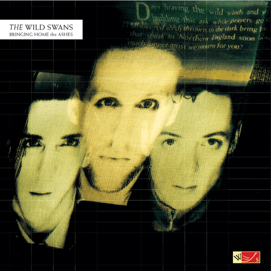 The Wild Swans Bringing Home The Ashes LP crystal clear vinyl album cover artwork