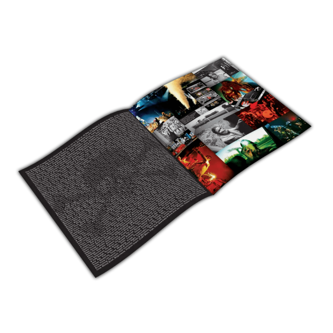 Backyard Babies Live Live In Paris LP glam punk live album vinyl record cover