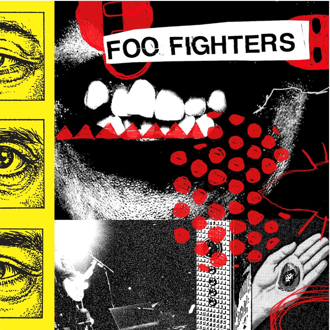 Foo Fighters Your Favorite Toy album vinyl LP hard rock alternative record