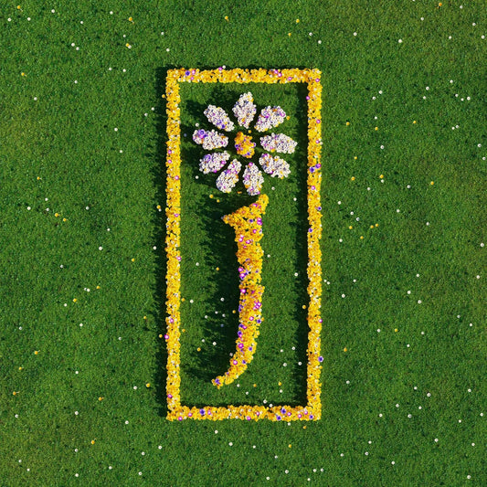 James Nothing But Love 2LP violet vinyl edition