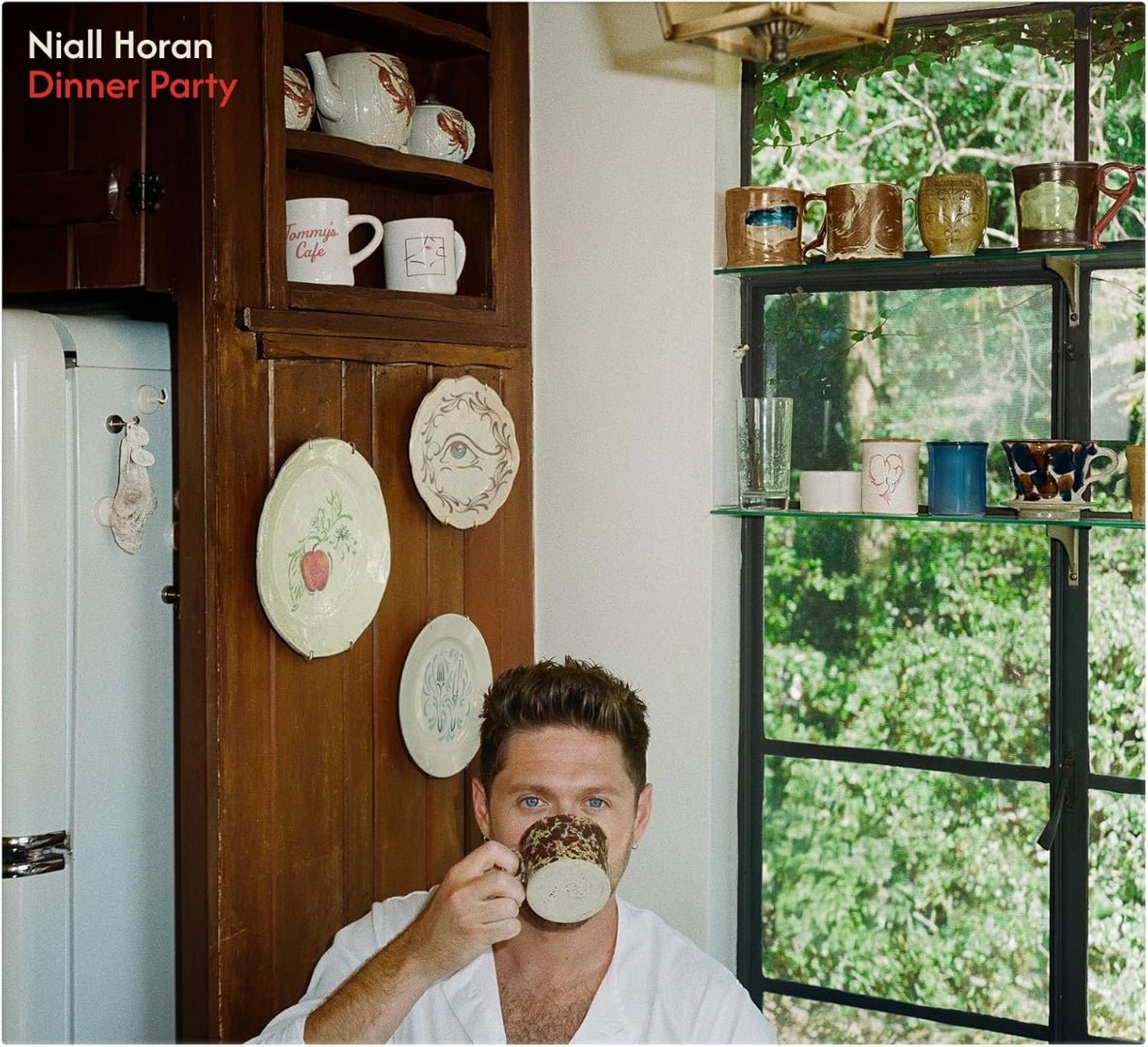 Niall Horan Dinner Party CD album cover pop rock singer songwriter release