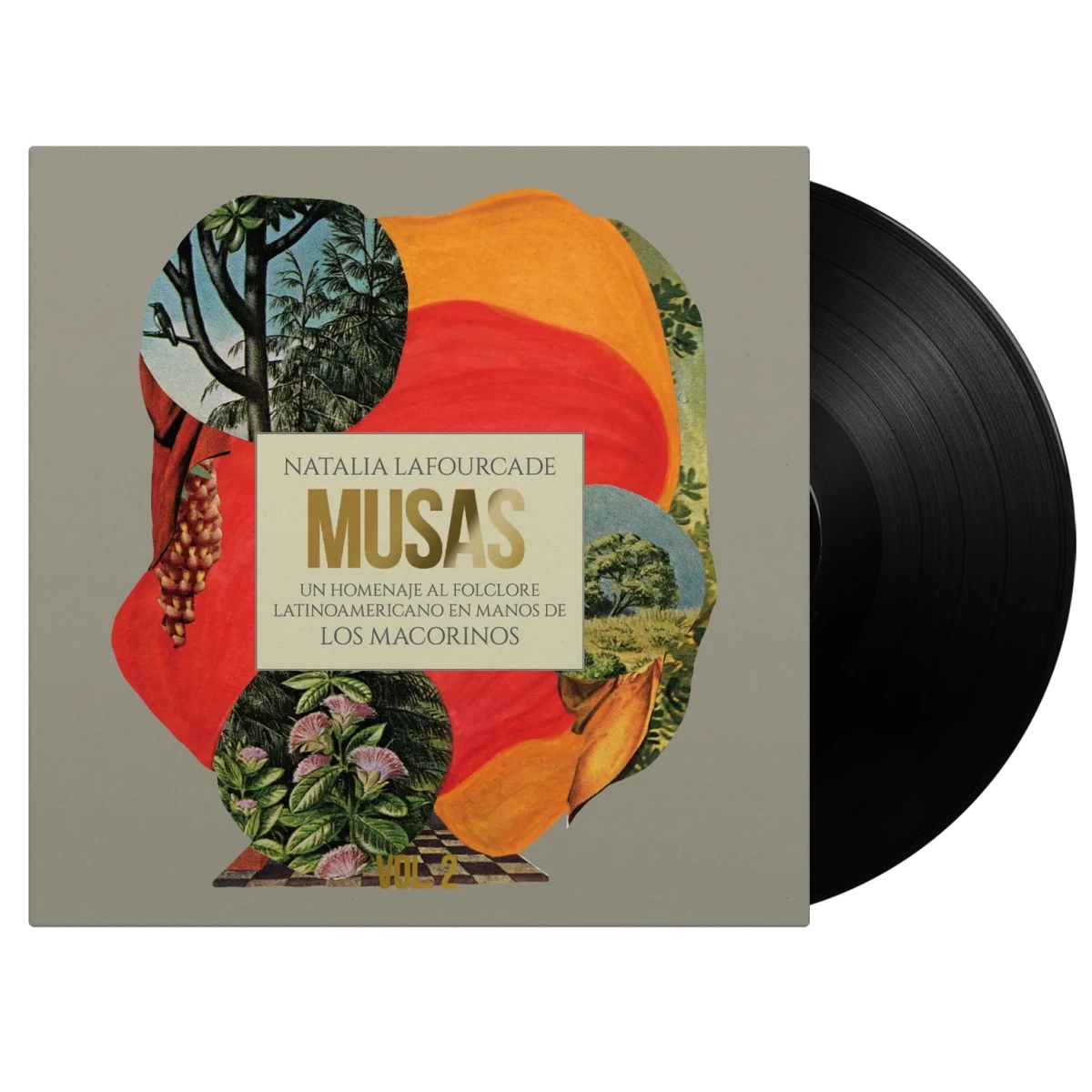 Musas Vol 2 by Natalia Lafourcade LP traditional Latin folk music record