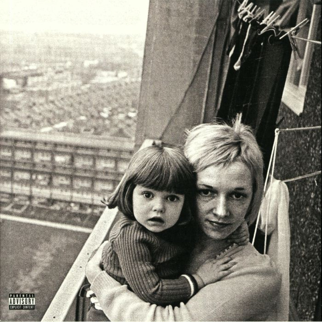 Gerry Cinnamon The Bonny LP vinyl album cover acoustic indie folk artwork