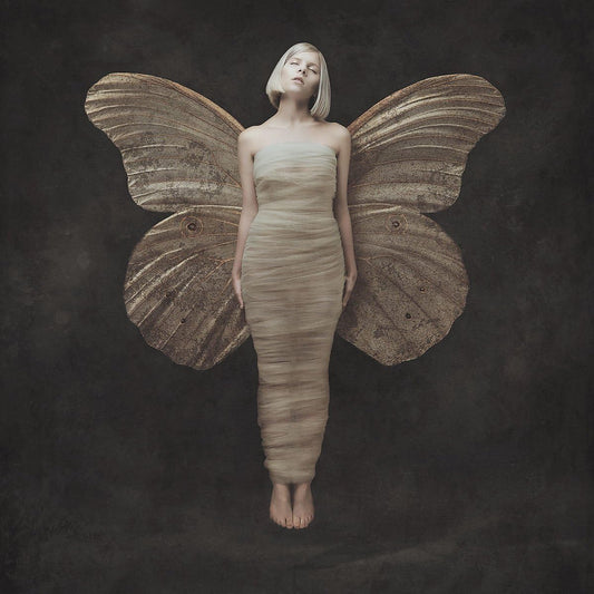 Aurora All My Demons Greeting Me As A Friend LP vinyl album edition