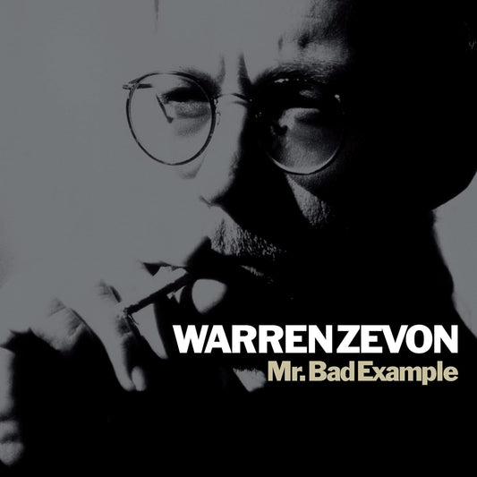 Warren Zevon Mr Bad Example LP vinyl album classic rock release