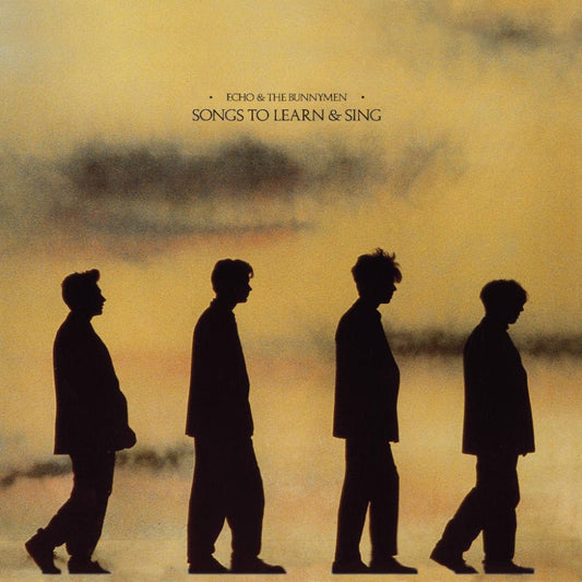 Echo and the Bunnymen Songs to Learn and Sing yellow black marble vinyl LP