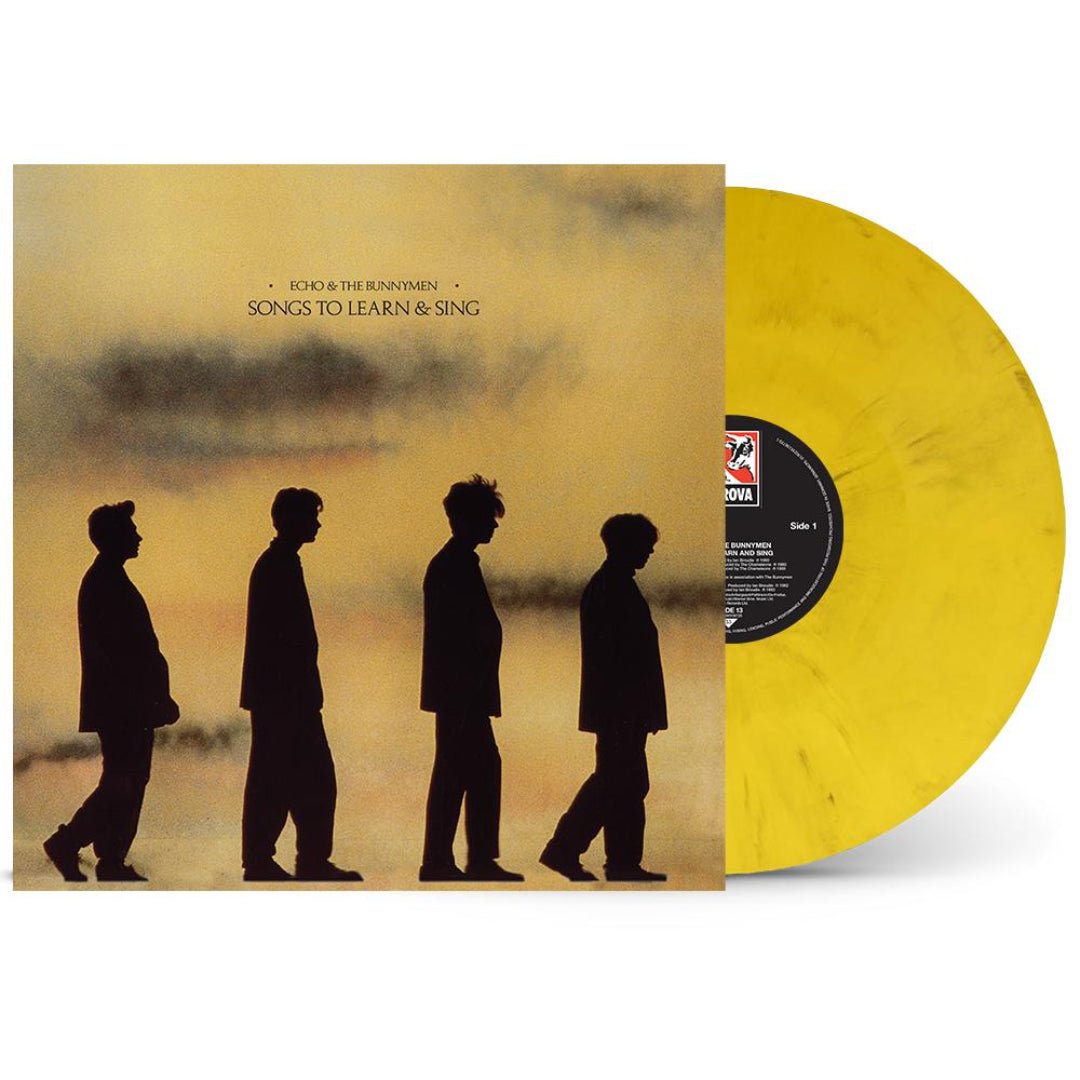 Songs to Learn and Sing Echo and the Bunnymen compilation vinyl sleeve design