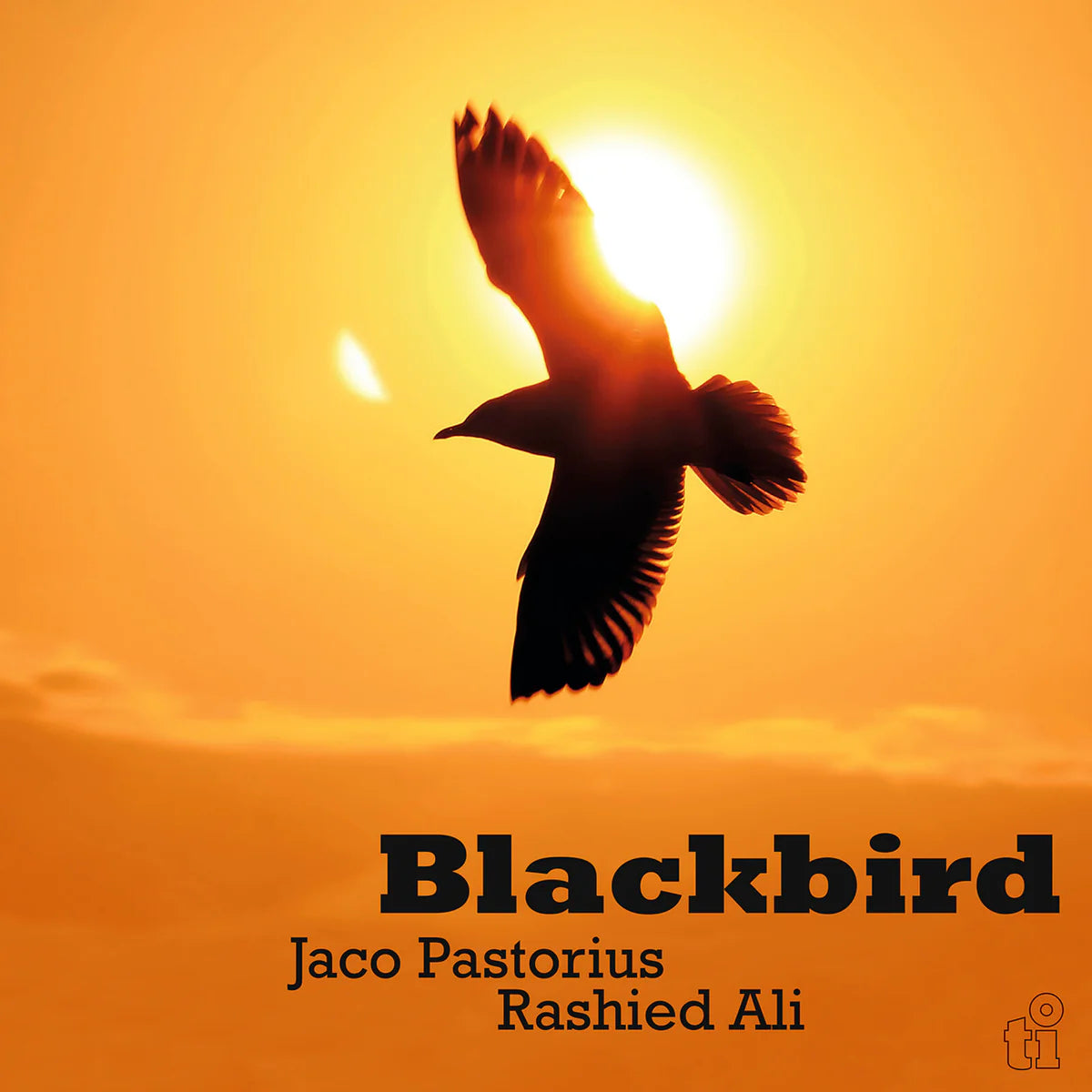Jaco Pastorius and Rashied Ali Blackbird LP green vinyl jazz fusion release.
