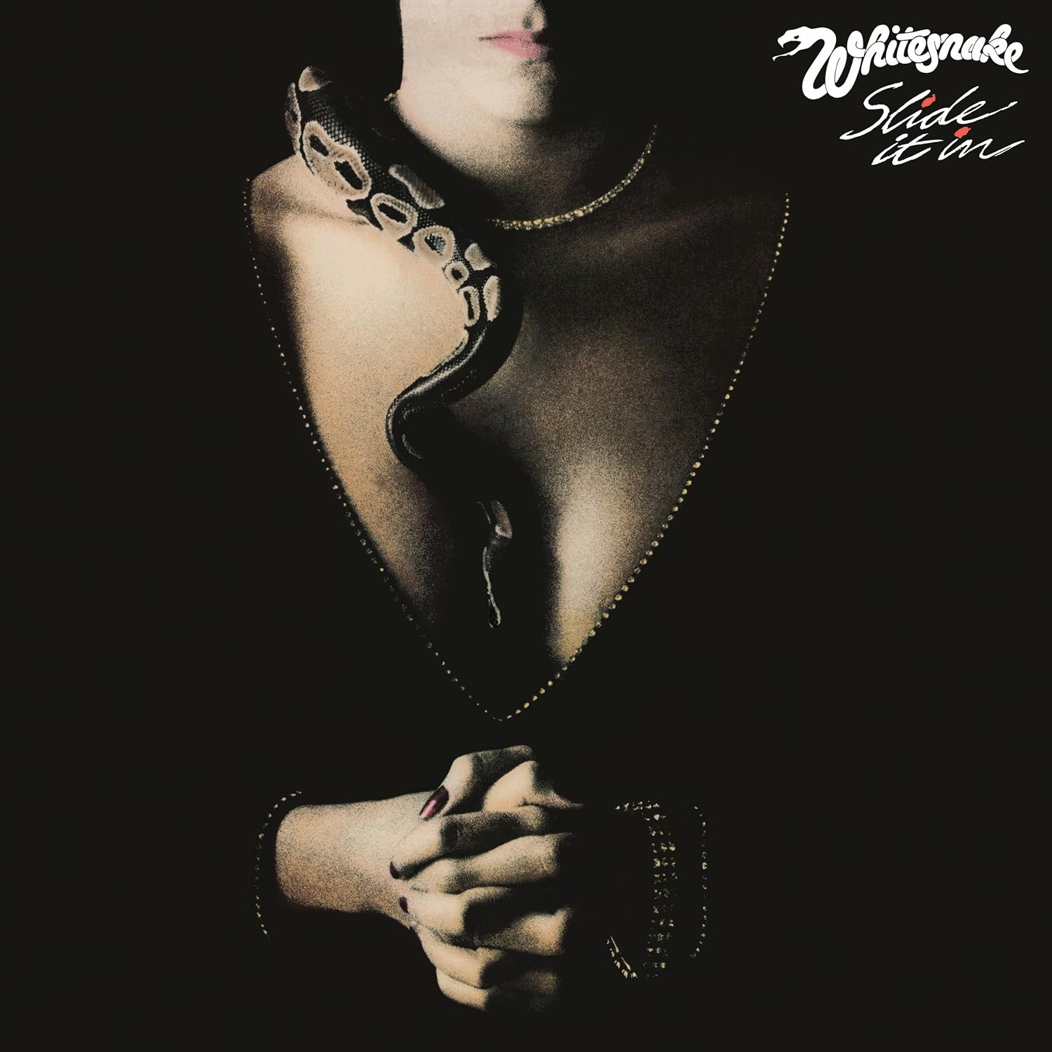 Whitesnake Slide It In LP vinyl classic 80s hard rock album