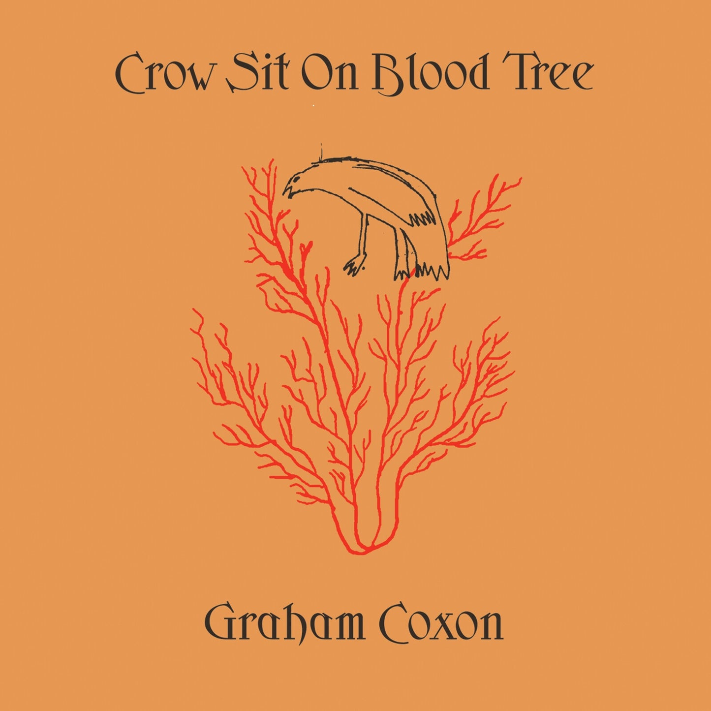 Graham Coxon Crow Sit On Blood Tree CD indie rock album artwork sleeve