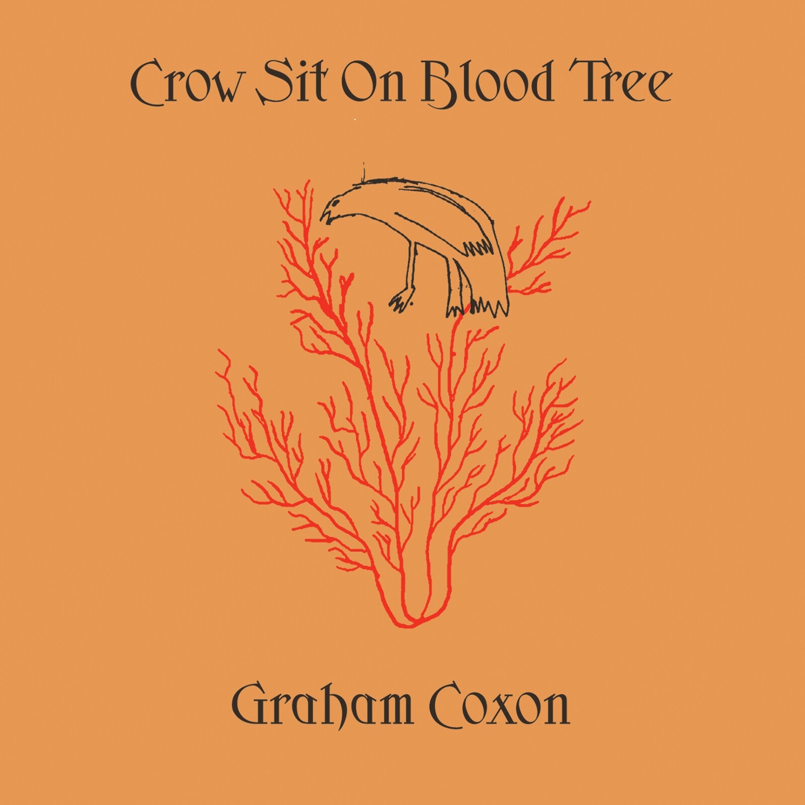Graham Coxon Crow Sit On Blood Tree LP 2001 indie rock album