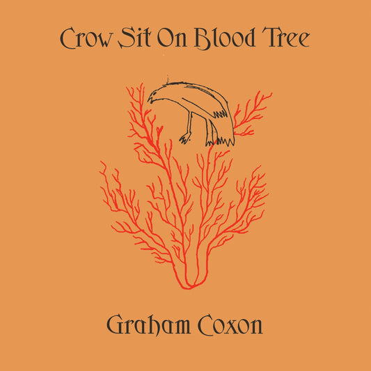 Graham Coxon Crow Sit On Blood Tree LP 2001 indie rock album