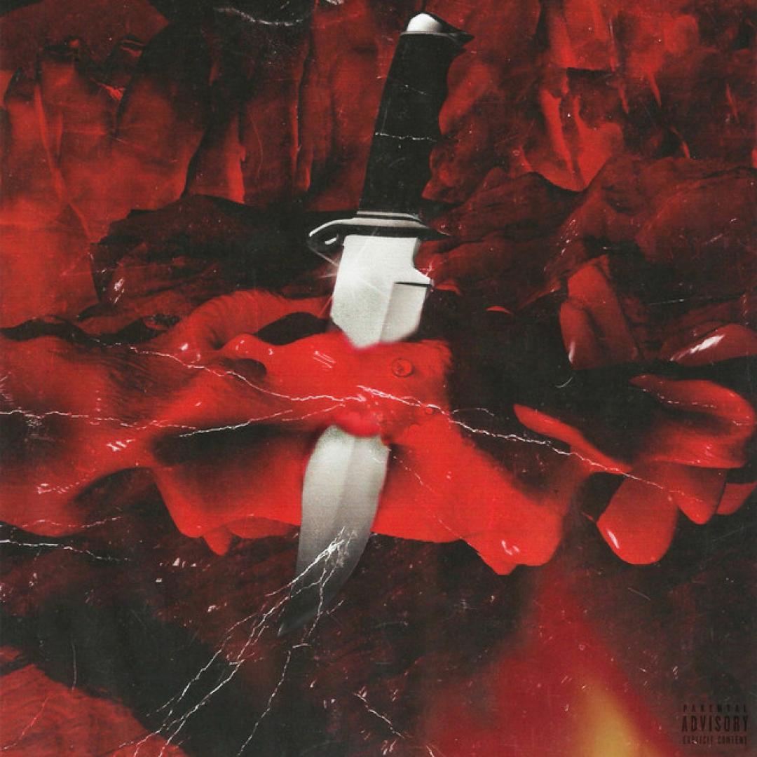 21 Savage Metro Boomin Savage Mode 10th Anniversary LP vinyl album edition
